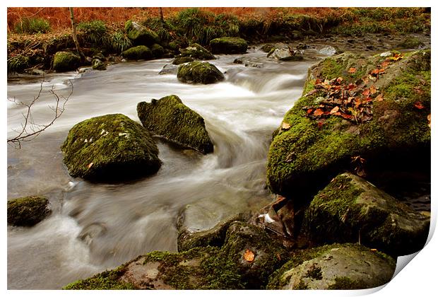 Autumn River Print by Gavin Wilson
