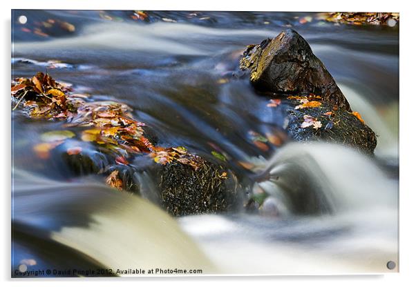 Flowing River III Acrylic by David Pringle