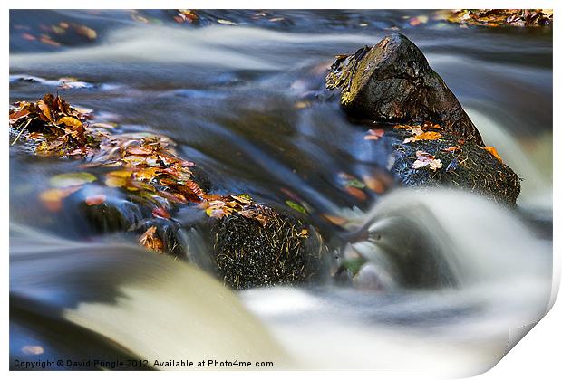 Flowing River III Print by David Pringle