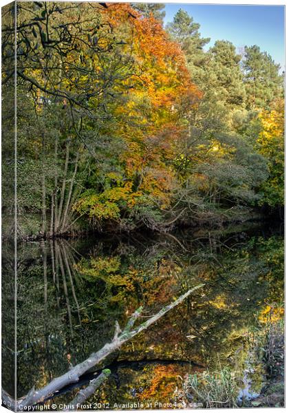 Nidd Gorge Autumn Reflections Canvas Print by Chris Frost