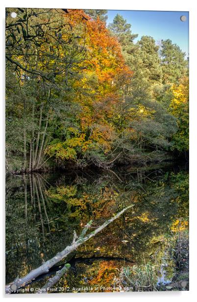 Nidd Gorge Autumn Reflections Acrylic by Chris Frost