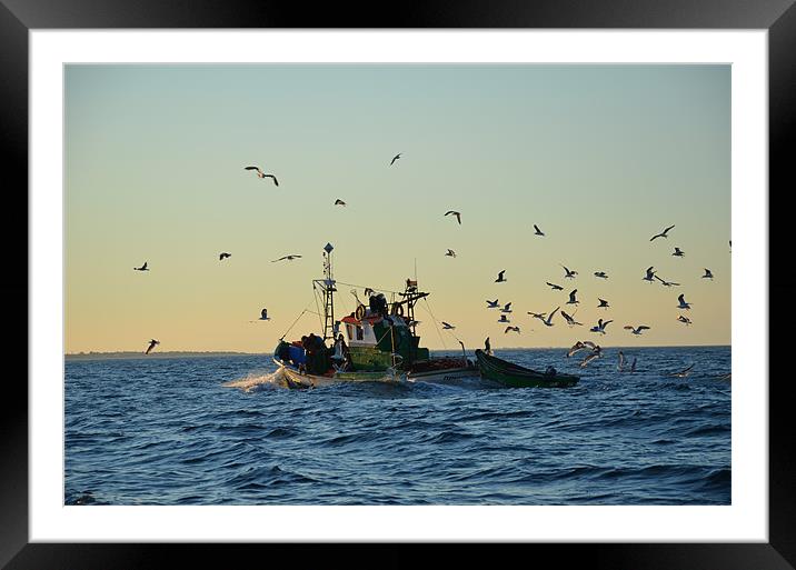 Fishing boat and gulls Framed Mounted Print by Malcolm Snook