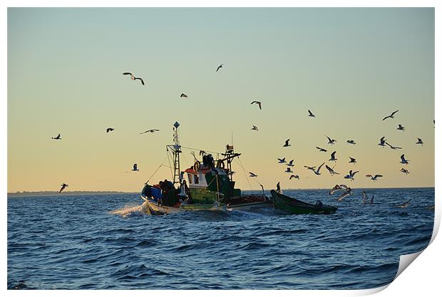 Fishing boat and gulls Print by Malcolm Snook