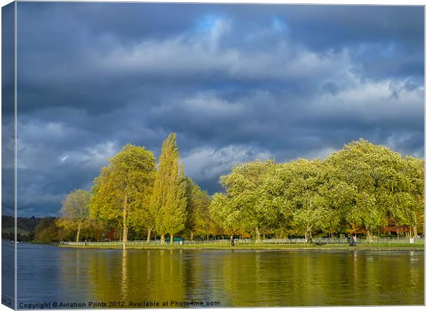 Riverside trees Canvas Print by Oxon Images