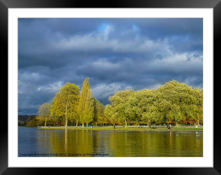 Riverside trees Framed Mounted Print by Oxon Images
