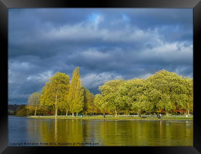 Riverside trees Framed Print by Oxon Images