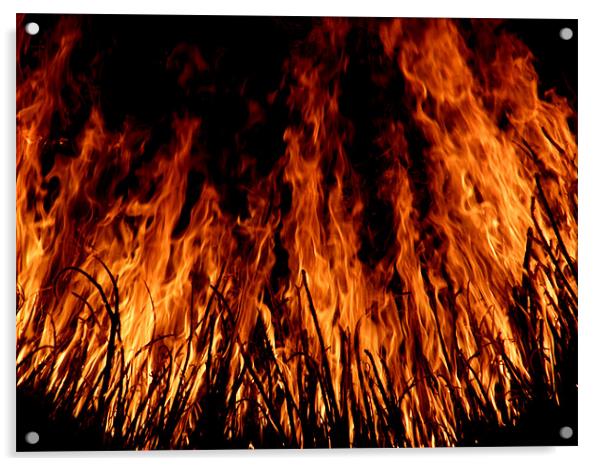 flame of fire Acrylic by koushik majumder