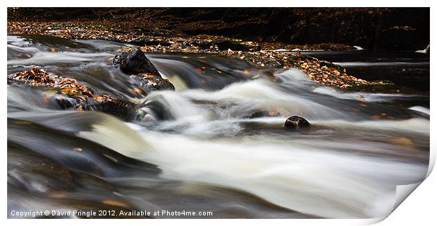 Flowing River IV Print by David Pringle