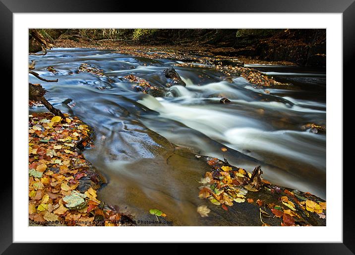 Autumn Leaves In Water II Framed Mounted Print by David Pringle