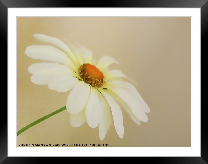 Simplicity Framed Mounted Print by Sharon Lisa Clarke