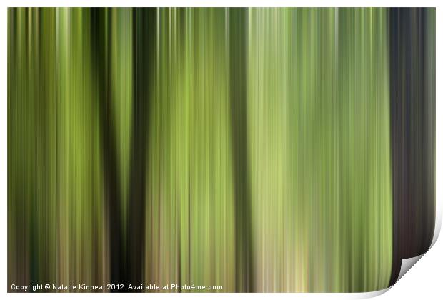 Abstract Trees in the Forest Print by Natalie Kinnear