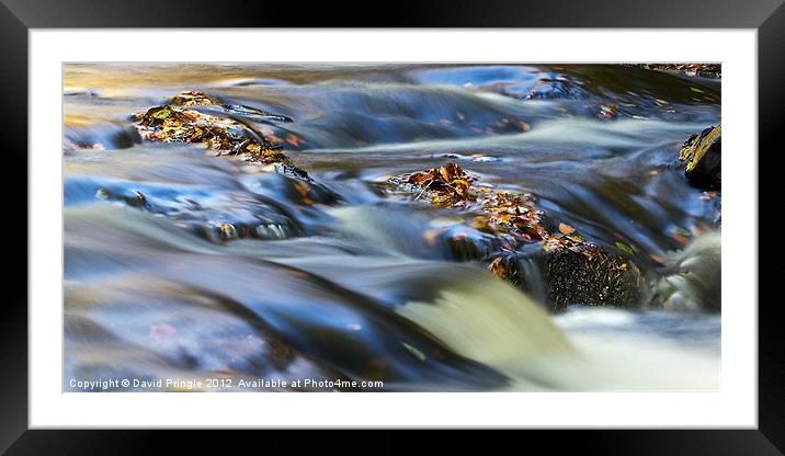 Autumn Leaves In Water III Framed Mounted Print by David Pringle