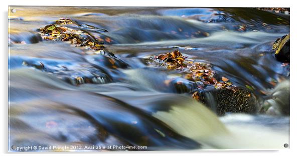 Autumn Leaves In Water III Acrylic by David Pringle