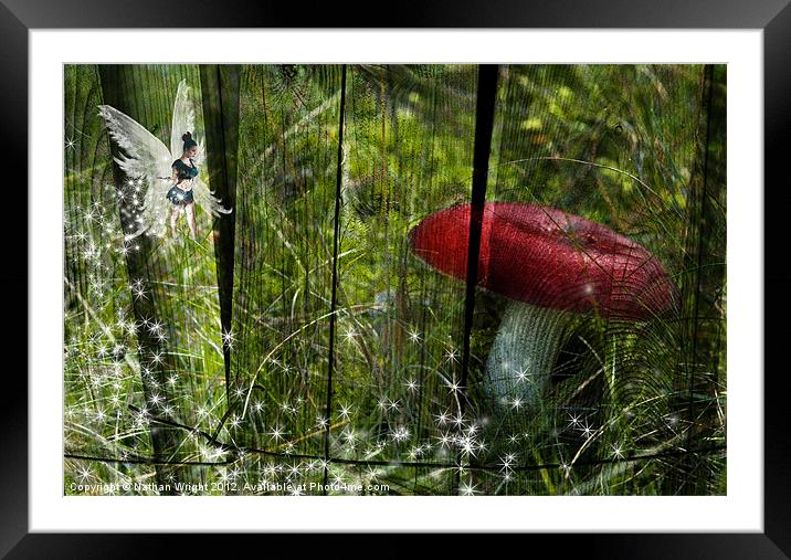 Magic mushroom. Framed Mounted Print by Nathan Wright