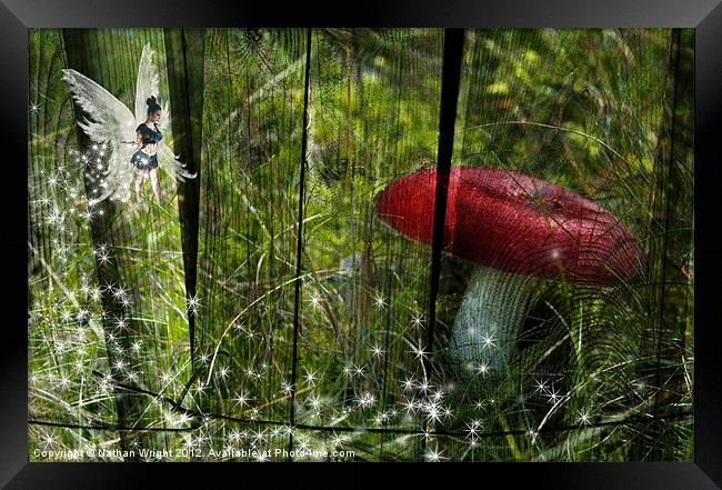 Magic mushroom. Framed Print by Nathan Wright