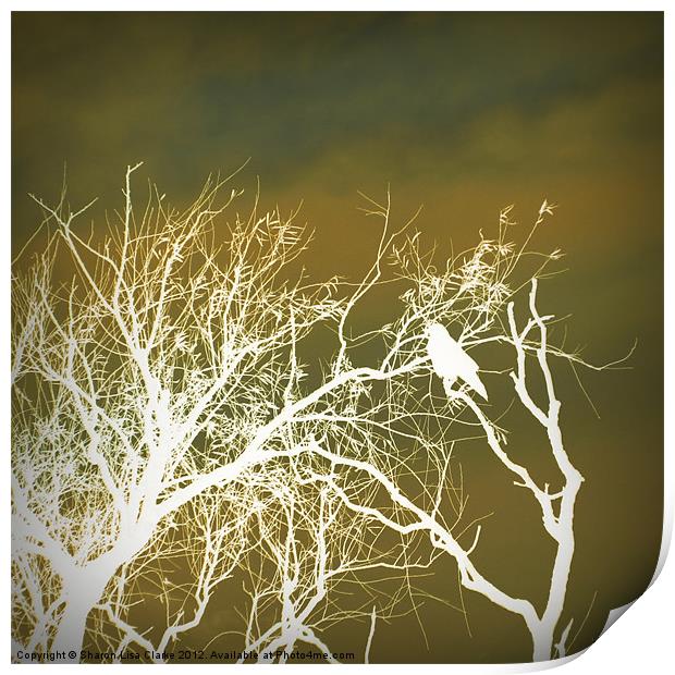 Olive Branches Print by Sharon Lisa Clarke