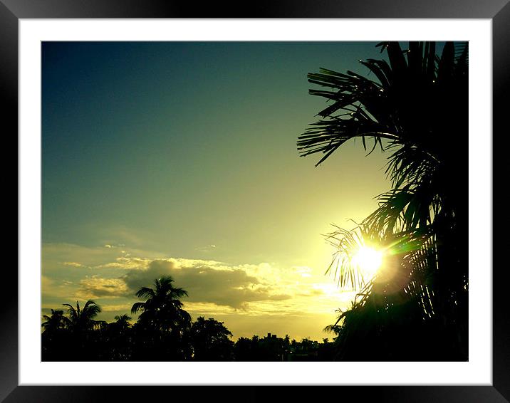 Sunset Framed Mounted Print by Aritra Pal