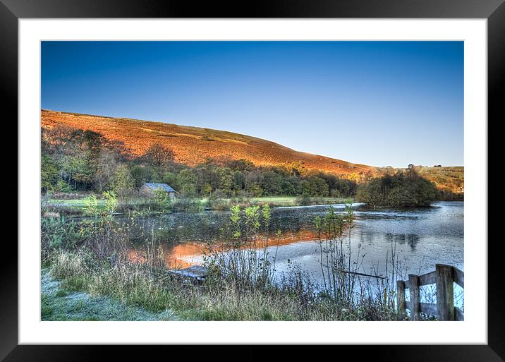 Autumn Pond 7 Framed Mounted Print by Steve Purnell