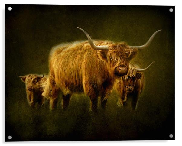 Highlanders Acrylic by Debra Kelday