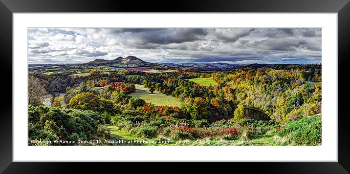 Autum on Tweed Framed Mounted Print by Ranald Dods