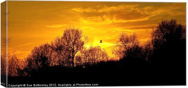 Sunset over Rickmansworth Canvas Print by Sue Bottomley