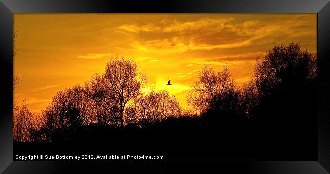 Sunset over Rickmansworth Framed Print by Sue Bottomley