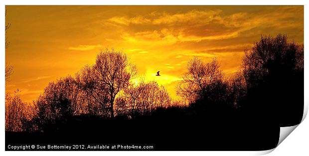 Sunset over Rickmansworth Print by Sue Bottomley