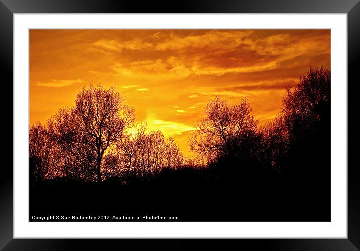 Beautiful sunset over Hertfordshire Framed Mounted Print by Sue Bottomley