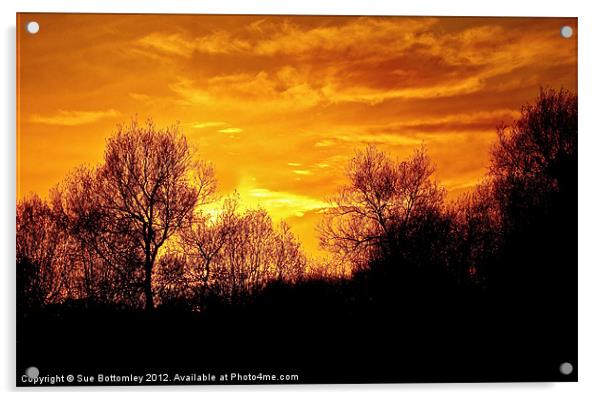 Beautiful sunset over Hertfordshire Acrylic by Sue Bottomley