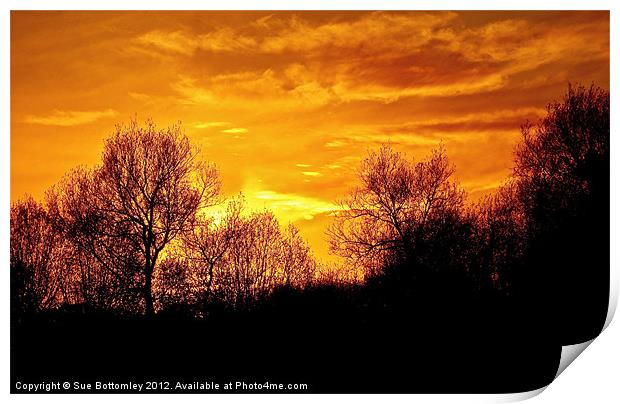 Beautiful sunset over Hertfordshire Print by Sue Bottomley