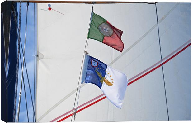 Courtesy flags against sail Canvas Print by Malcolm Snook