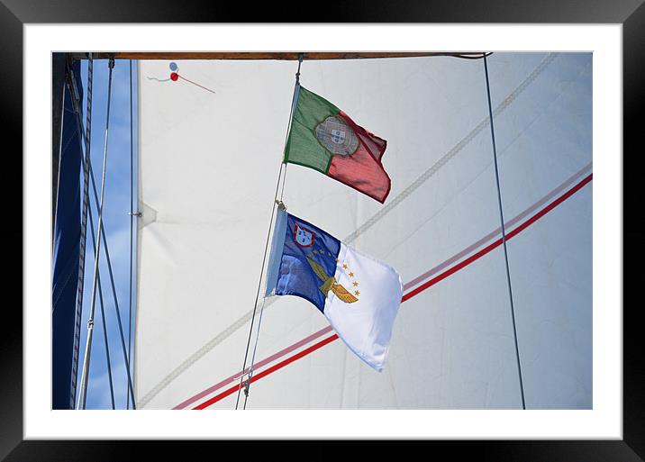 Courtesy flags against sail Framed Mounted Print by Malcolm Snook