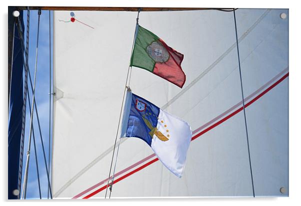 Courtesy flags against sail Acrylic by Malcolm Snook