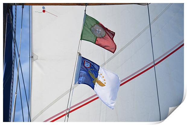 Courtesy flags against sail Print by Malcolm Snook