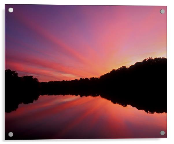 Lake Newport Sunset  Acrylic by Bryan Olesen