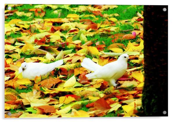Doves in the autumn leaves Acrylic by mohammed hayat