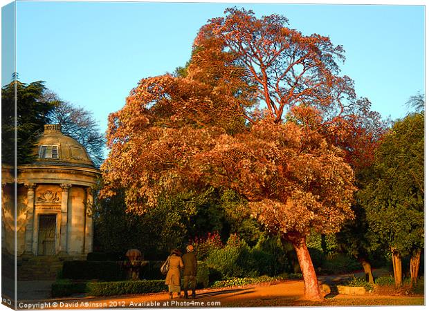 AUTUMN STROLL Canvas Print by David Atkinson