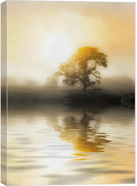 Soft Misty Morning Canvas Print by Mike Gorton
