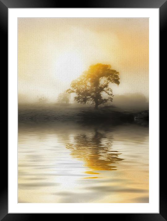 Soft Misty Morning Framed Mounted Print by Mike Gorton
