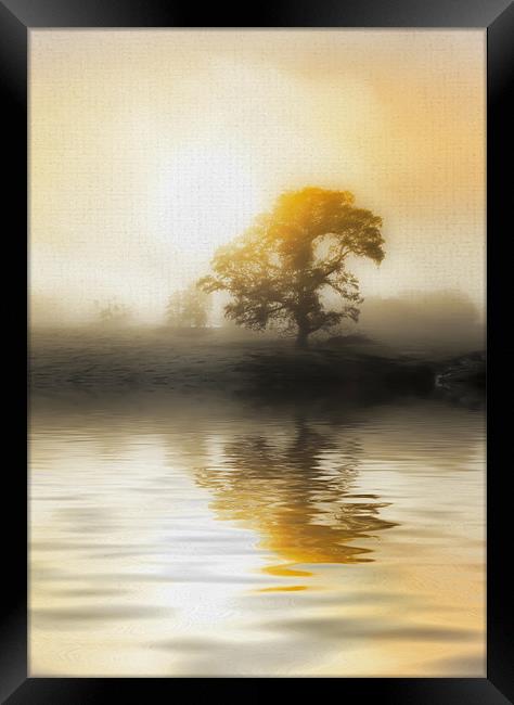 Soft Misty Morning Framed Print by Mike Gorton