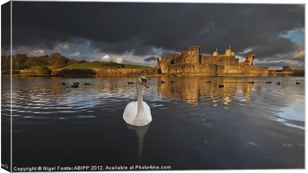 Swan at Caerphilly Castle Canvas Print by Creative Photography Wales