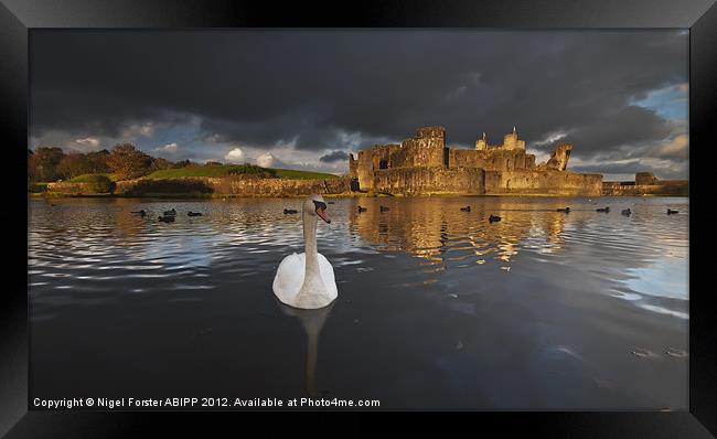 Swan at Caerphilly Castle Framed Print by Creative Photography Wales