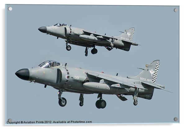 Royal Navy Sea Harrier FA2 Acrylic by Oxon Images
