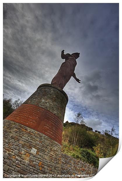 The Guardian Print by Creative Photography Wales