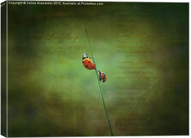 Poem for ladybugs Canvas Print by Celine B.