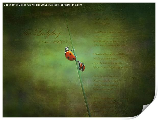 Poem for ladybugs Print by Celine B.
