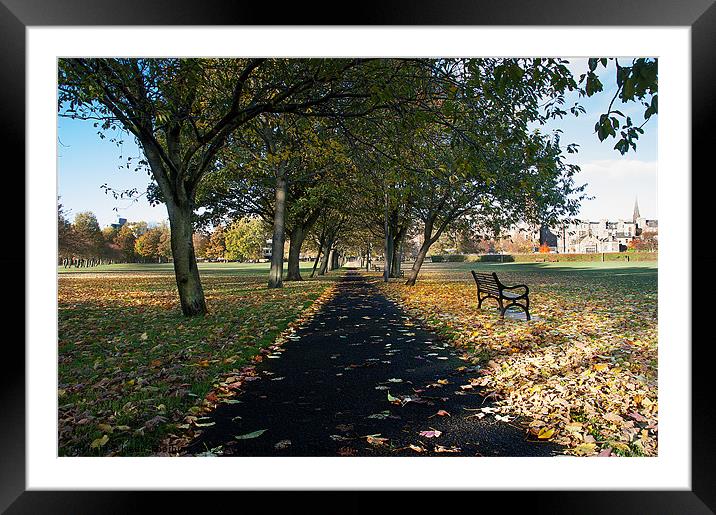 The Meadows Framed Mounted Print by Keith Thorburn EFIAP/b