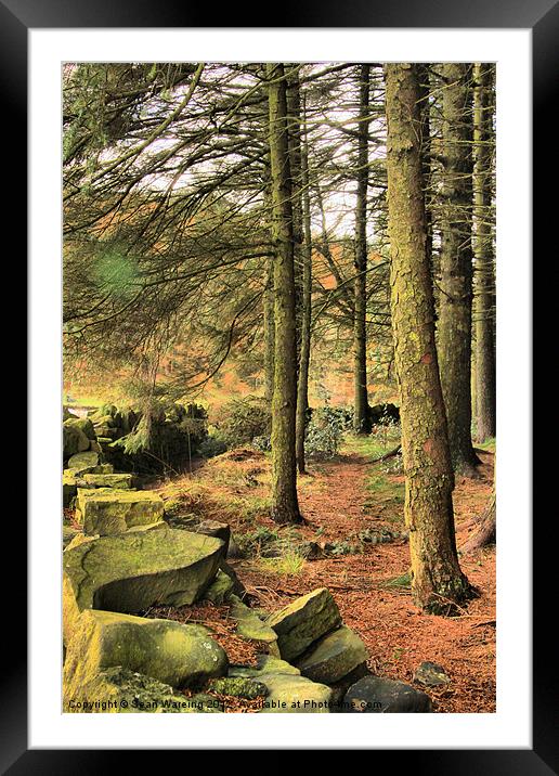 The Forest Edge Framed Mounted Print by Sean Wareing