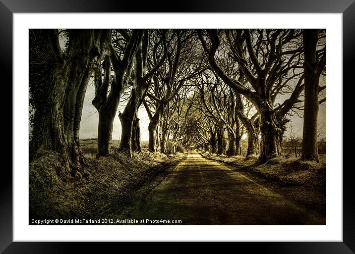 Mysterious Dark Hedges Framed Mounted Print by David McFarland
