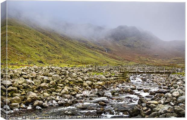 Great Langdale Beck Canvas Print by David Lewins (LRPS)